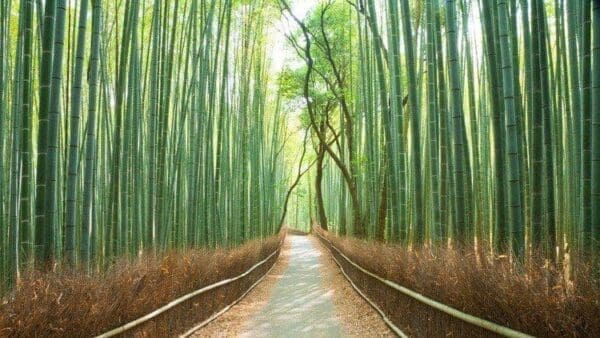 ea980a2e3b00fbacded6a90ae2c2fd6f